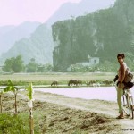 Vietnam Tam Coc village