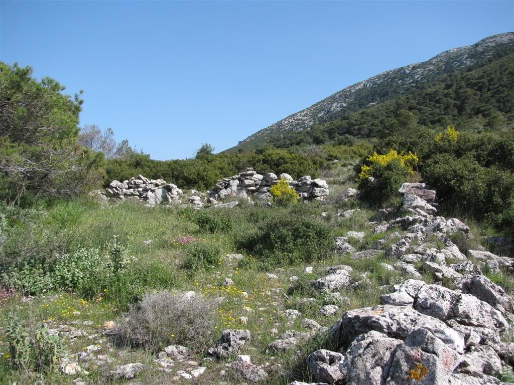 Επίσκεψη στο Αισθητικό Δάσος Καισαριανής και Περίπατος στον Υμηττό 2 IMG 0232