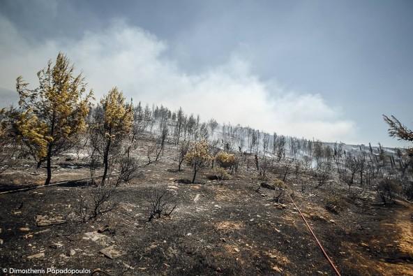 fwtia-imittos-kammena-2