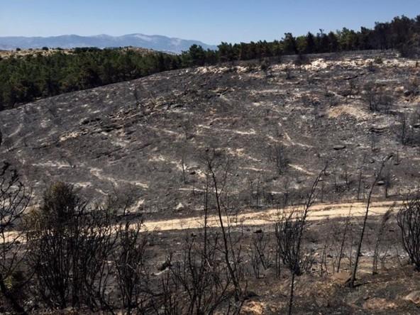 fwtia-imittos-kammena-6