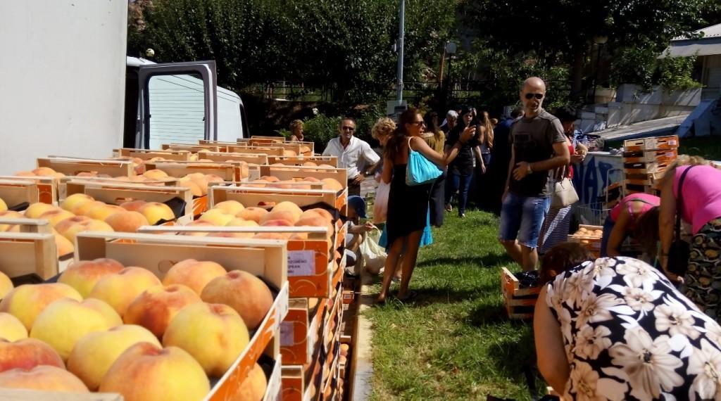 Δωρεάν διανομή ροδάκινων από τη Διεύθυνση Κοινωνικής Πολιτικής του Δήμου Βύρωνα 4 4562 0940