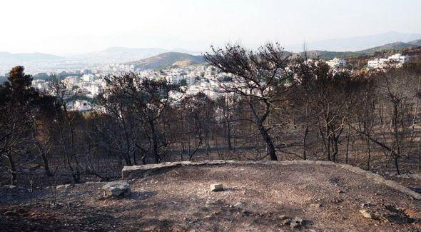 imittos-prin-meta-15