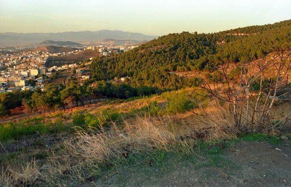 imittos-prin-meta-16