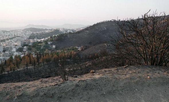 imittos-prin-meta-17