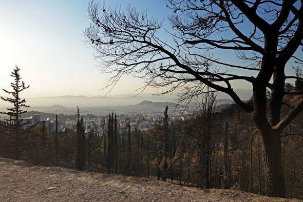 imittos-prin-meta-19