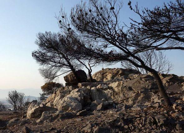 imittos-prin-meta-23