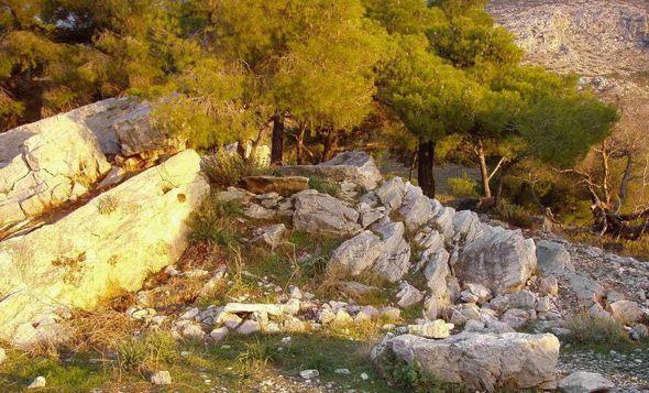 imittos-prin-meta-24