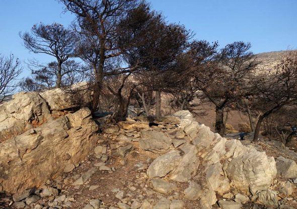 imittos-prin-meta-25