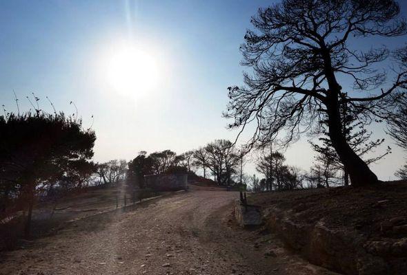 imittos-prin-meta-27