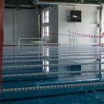 Γιατί παραμένει κλειστό το κολυμβητήριο του Βύρωνα