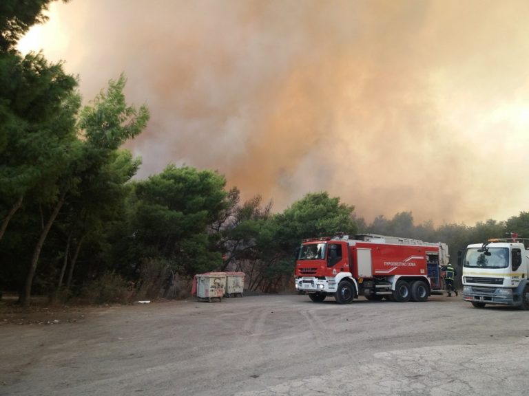 11606 fotiaa